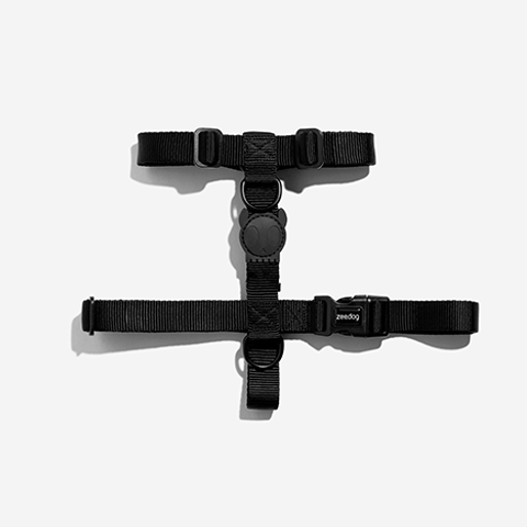 Zeedog H Harness Gotham