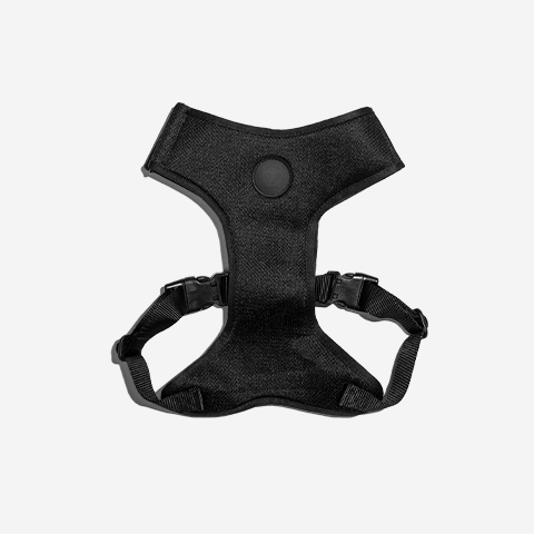 Zeedog Adjustable Air Mesh Harness Gotham