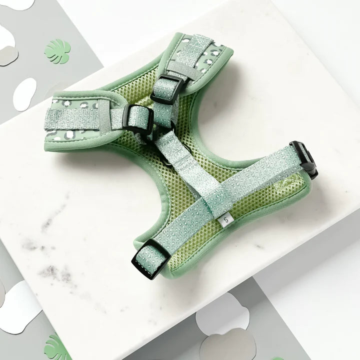 Cocopup Sage Leopard Harness