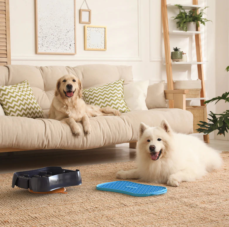 Superfeedy The Ultimate, Versatile 4-in-1 Slow Feeder Dog Bowl