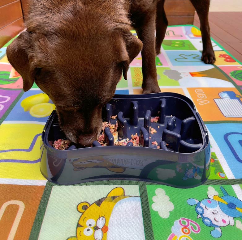 Superfeedy The Ultimate, Versatile 4-in-1 Slow Feeder Dog Bowl