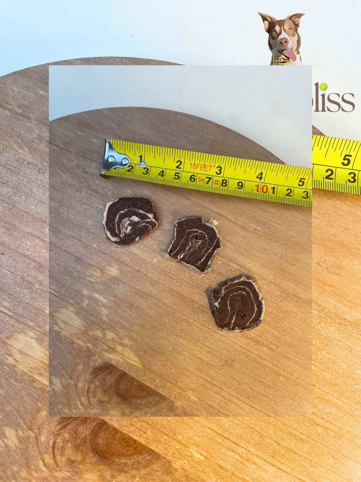 K9 CHews Meaty Snacks Tuna Medallions 100g