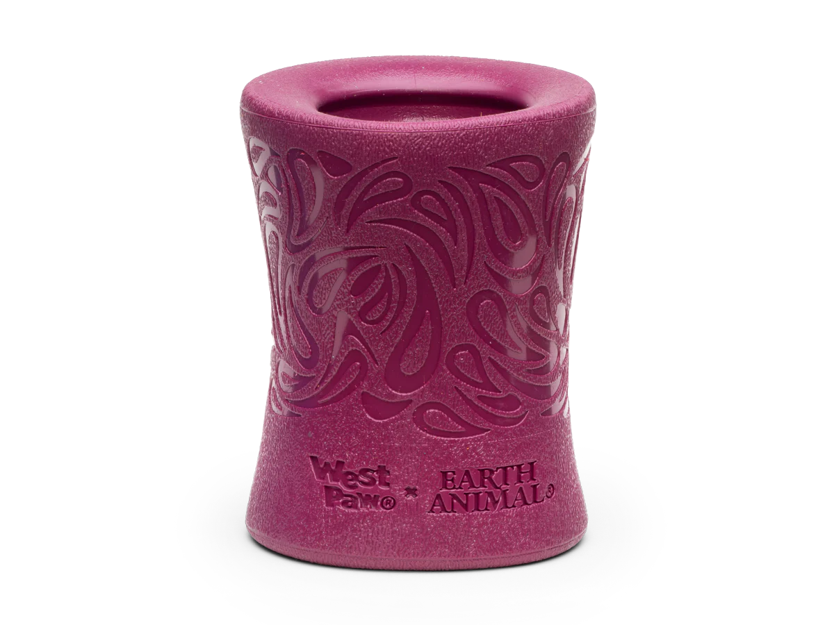 Westpaw & Earth Animal No Hide Chew Funnl Dog Toy