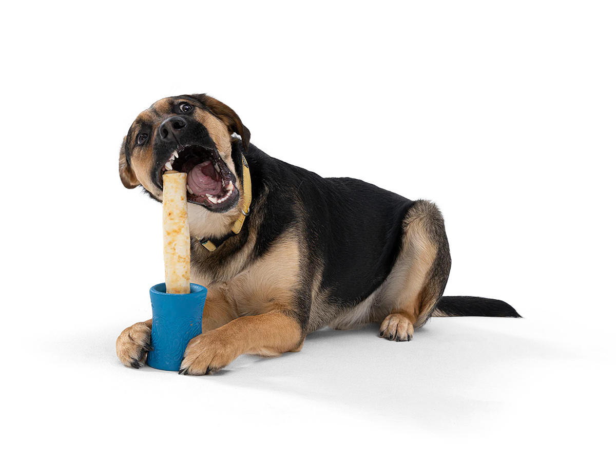 Westpaw & Earth Animal No Hide Chew Funnl Dog Toy