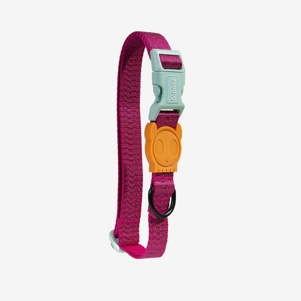 Zeedog Collar Nox Sidus