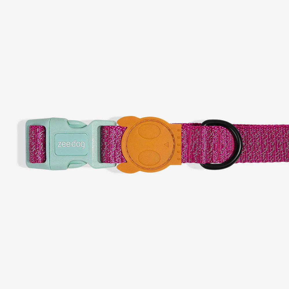 Zeedog Collar Nox Sidus