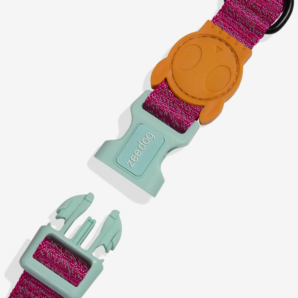 Zeedog Collar Nox Sidus