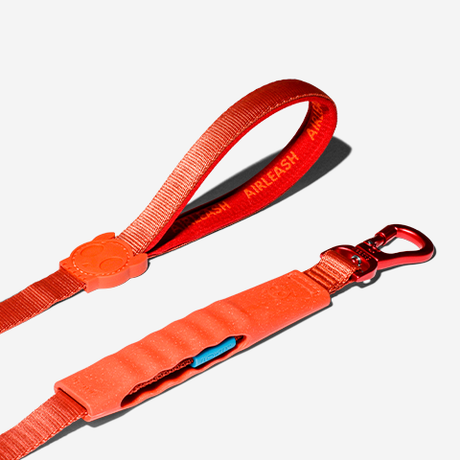 Zeedog Air-Leash