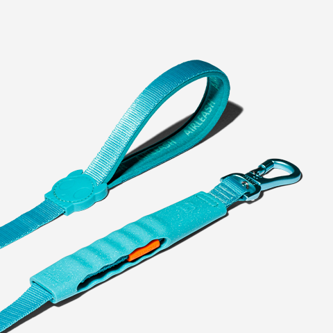 Zeedog Air-Leash