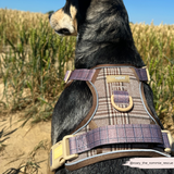 Cocopup Explore Dog Harness - Pup Plaid