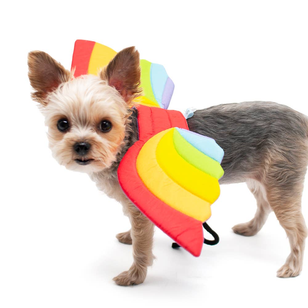 Halloween Rainbow Wings
