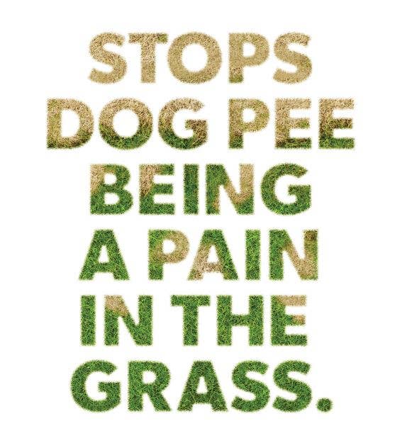 Beloved Dog Rocks - Stop pet urine burns on grass...naturally!