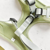 Cocopup Luxe Adjustable Neck Harness - Sage Heart