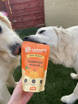 Logan’s Pumpkin Powder For Dogs - Dog Supplement 200g