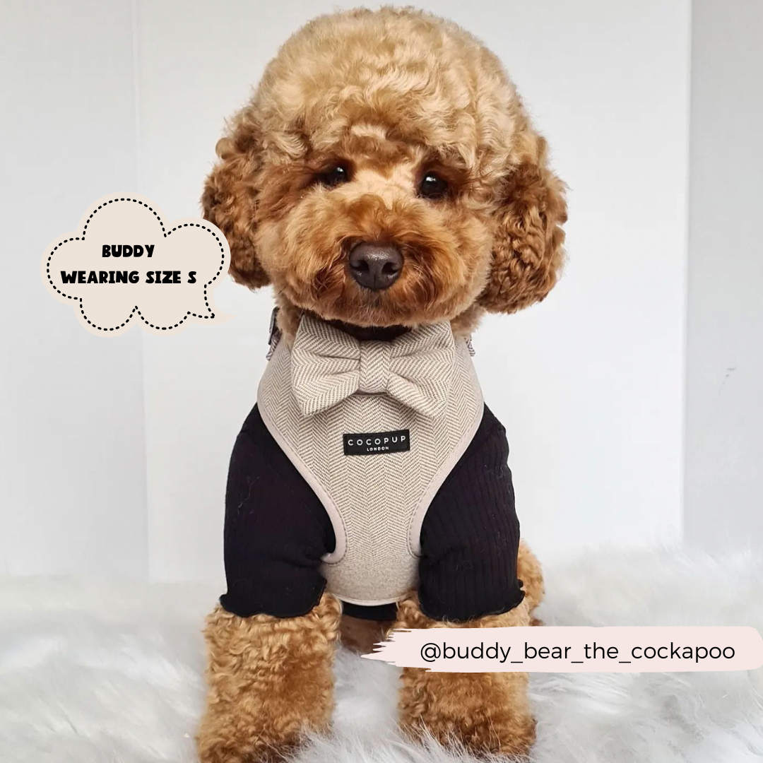 Cocopup Brown Tweed Bow Tie