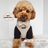 Cocopup Brown Tweed Bow Tie