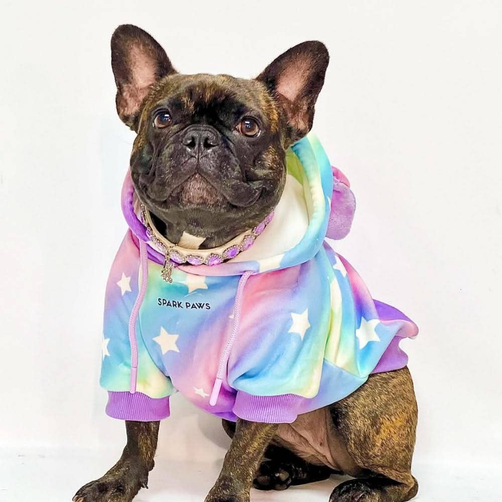 Spark Paws Halloween Dog Hoodie - Unicorn