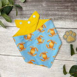 Baxter's Boutique Bandana Beach Bound