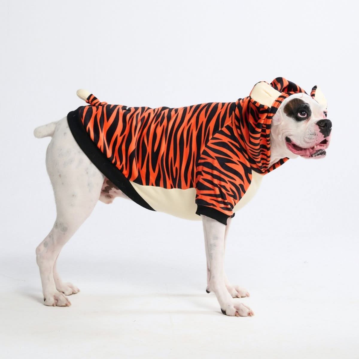 Spark Paws Halloween Dog Hoodie - Tiger