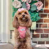 Cocopup Peony Pup Adjustable Neck Harness