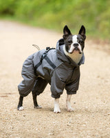 Hugo&Hudson Winter Dog Snowsuit - Grey