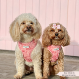 Cocopup Peony Pup Adjustable Neck Harness
