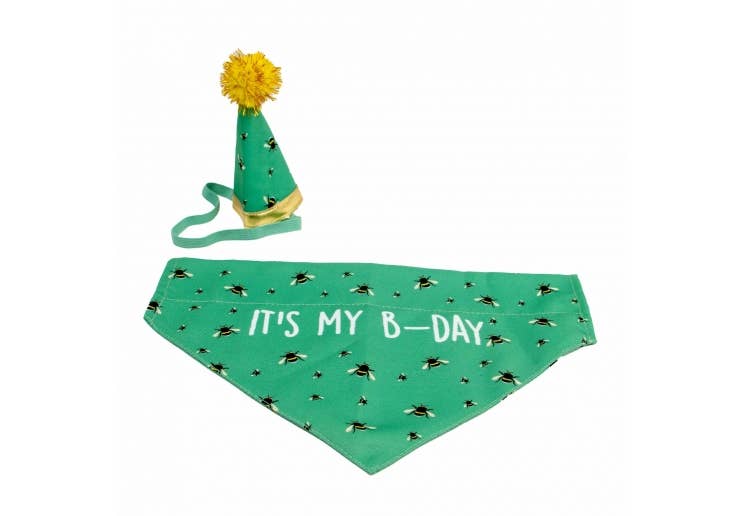 Ancol B-Day Hat & Bandana Set