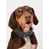 Joules Leather Collar