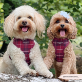 Cocopup Mulberry Plaid Adjustable Neck Harness