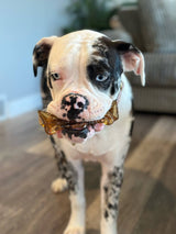 Mighty Marrows Collagen Dental Chew - Beef Liver Large