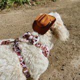Cocopup Rodeo Pup Dog Hat