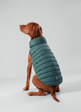 Hugo&Hudson Hackett x Hugo Hudson Dog Puffer Jacket, Forest Green & Gold