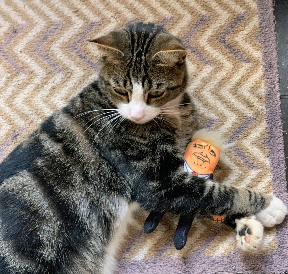 Pet Hates Toys Donald Cat Toy