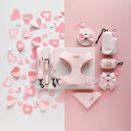 Cocopup Luxe Collar - Baby Pink Heart