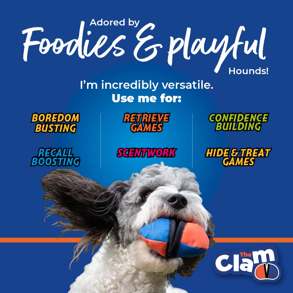 The Clam - Treat dispensing training toy