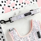 Cocopup Puppy Lead Khaki