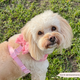 Cocopup Peony Pup Adjustable Neck Harness
