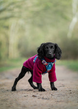 Twiggy Tags Horizon Harness