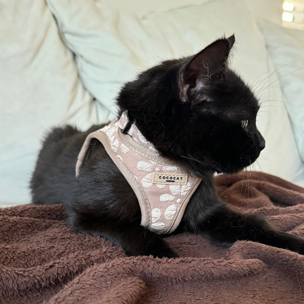 Cocopup Cat Harness - Mocha Flower