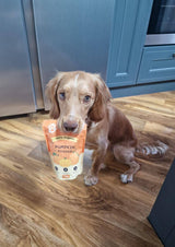 Logan’s Pumpkin Powder For Dogs - Dog Supplement 200g