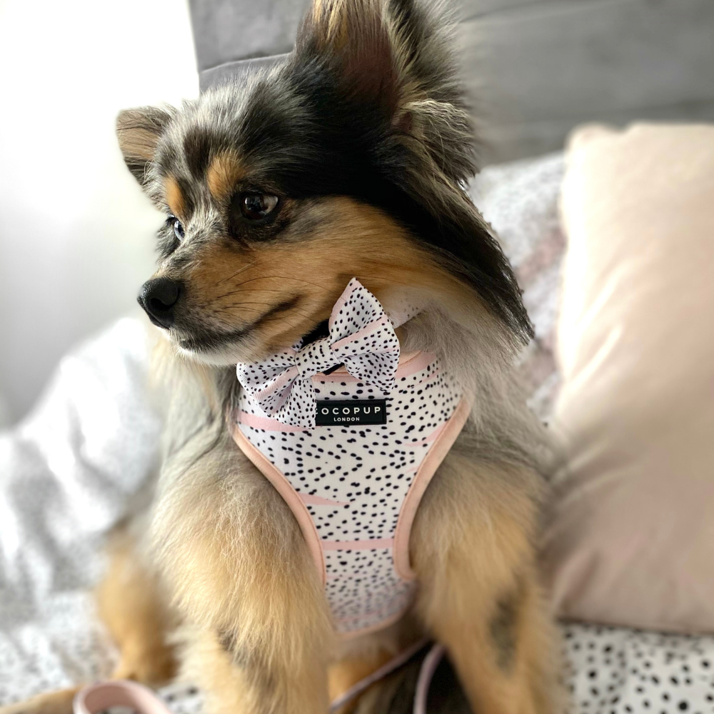 Cocopup Pink Dalmatian Bow Tie