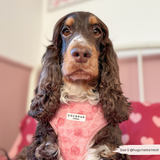 Cocopup Peony Pup Adjustable Neck Harness