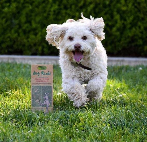 Beloved Dog Rocks - Stop pet urine burns on grass...naturally!