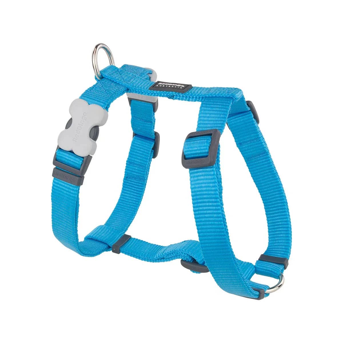 Red Dingo Dog H-Harness Classic Turquoise