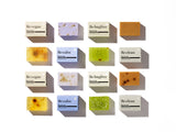 BeLoved Be:Vegan Dog Shampoo Bar - Hemp Pet Shampoo Bar