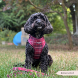 Cocopup Mulberry Plaid Adjustable Neck Harness