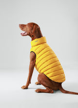 Hugo&Hudson Hackett x Hugo Hudson Dog Puffer Jacket, Forest Green & Gold