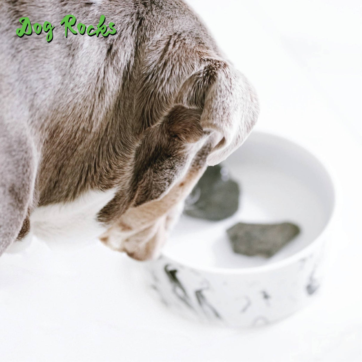 Beloved Dog Rocks - Stop pet urine burns on grass...naturally!