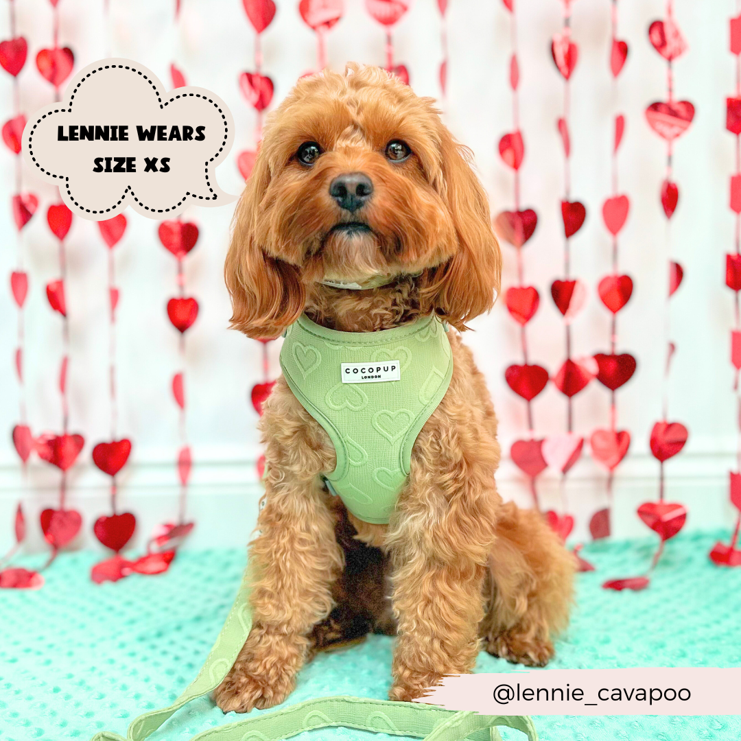 Cocopup Luxe Adjustable Neck Harness - Sage Heart