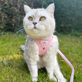 Cocopup Cat Harness - Strawberry Picnic